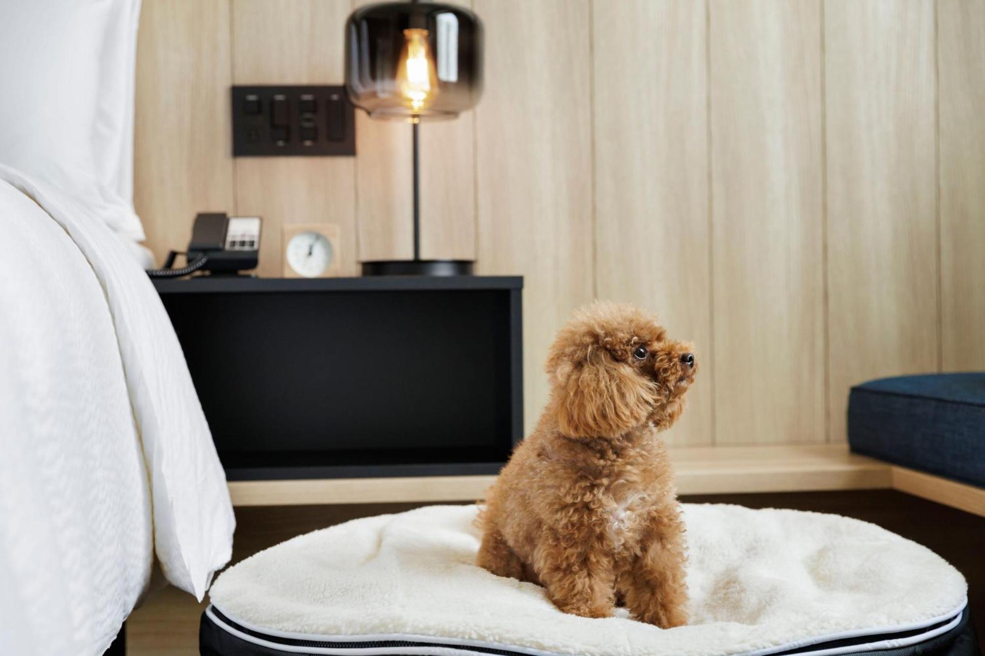 فندق Fairfield By Marriott Kyoto Kyotamba Nantan city المظهر الخارجي الصورة